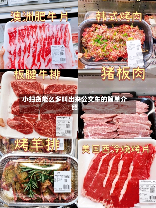 小扫货能么多叫出来公交车的简单介绍-第2张图片