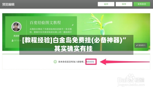 [教程经验]白金岛免费挂(必备神器)”其实确实有挂-第2张图片