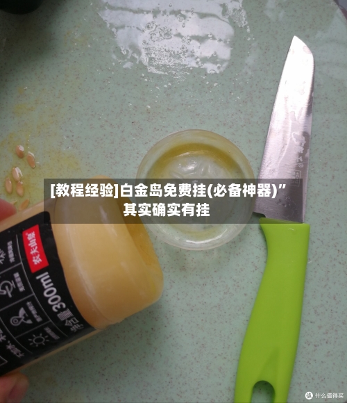 [教程经验]白金岛免费挂(必备神器)”其实确实有挂-第3张图片