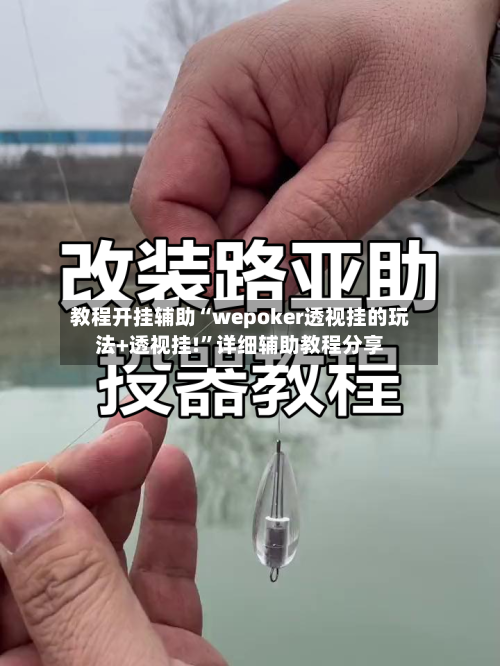 教程开挂辅助“wepoker透视挂的玩法+透视挂!”详细辅助教程分享-第1张图片
