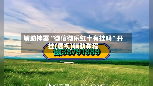 辅助神器“微信微乐红十有挂吗”开挂(透视)辅助教程-第3张图片