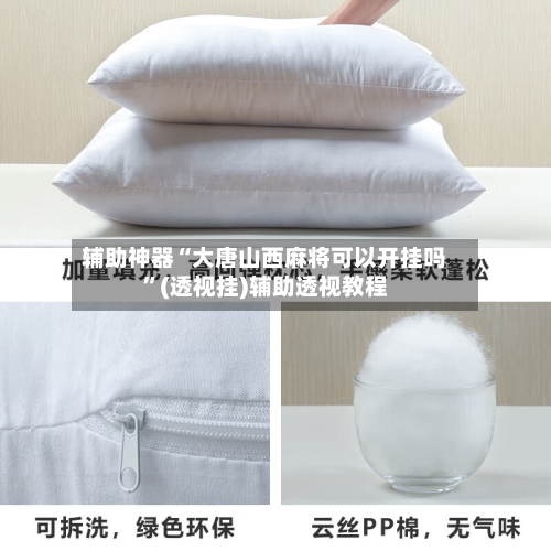 辅助神器“大唐山西麻将可以开挂吗	”(透视挂)辅助透视教程-第1张图片