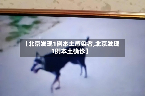 【北京发现1例本土感染者,北京发现1例本土确诊】-第1张图片