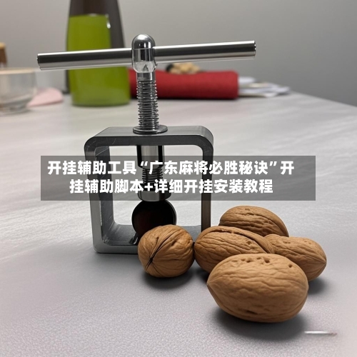 开挂辅助工具“广东麻将必胜秘诀	”开挂辅助脚本+详细开挂安装教程-第1张图片