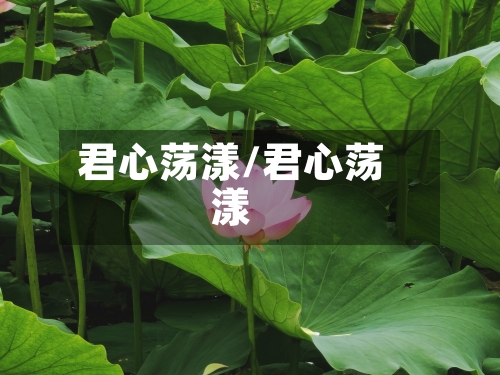 君心荡漾/君心荡漾-第3张图片