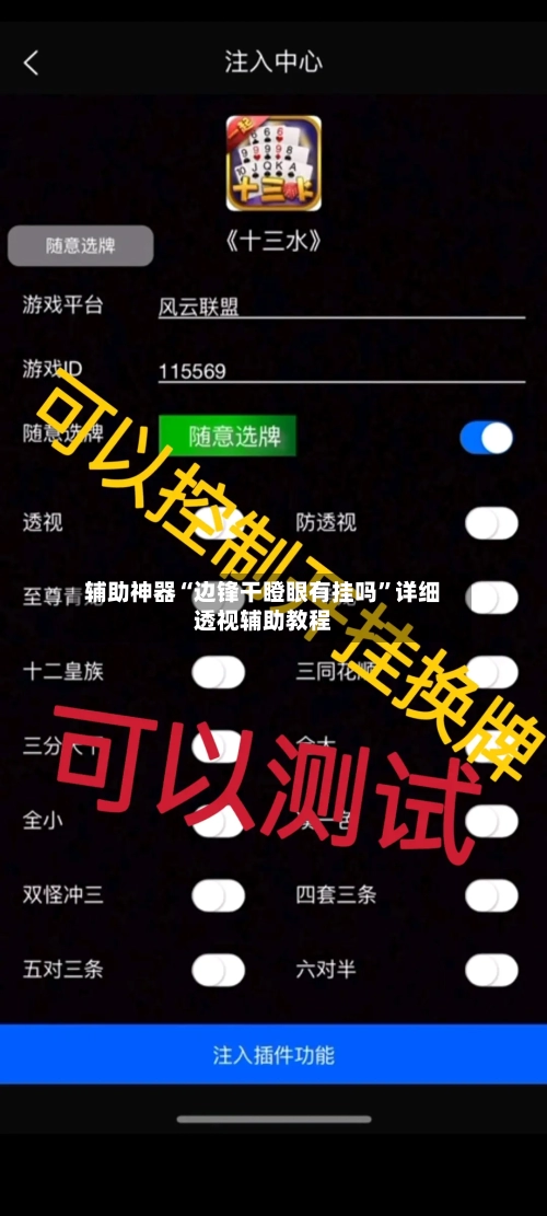 辅助神器“边锋干瞪眼有挂吗”详细透视辅助教程-第1张图片