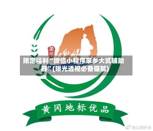 限定福利“微信小程序家乡大贰辅助器”(曝光透视必备猫腻)-第3张图片