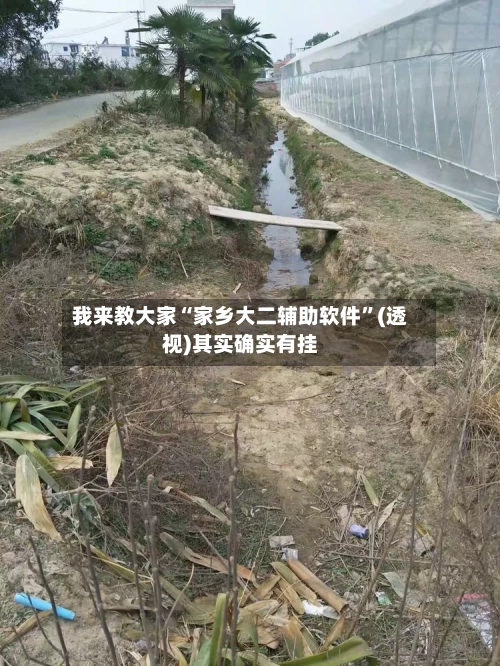 我来教大家“家乡大二辅助软件”(透视)其实确实有挂-第2张图片