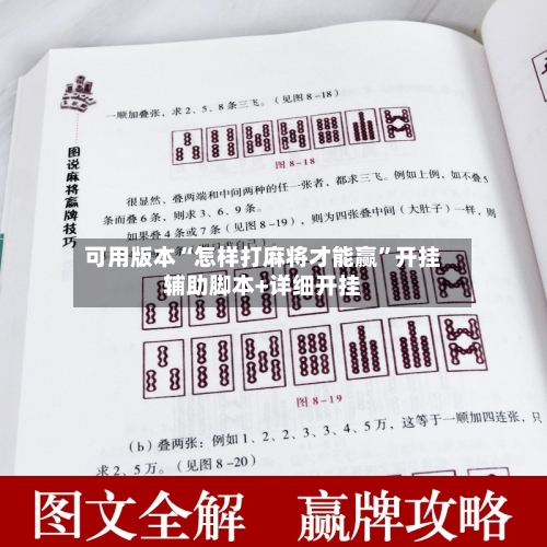 可用版本“怎样打麻将才能赢”开挂辅助脚本+详细开挂-第2张图片