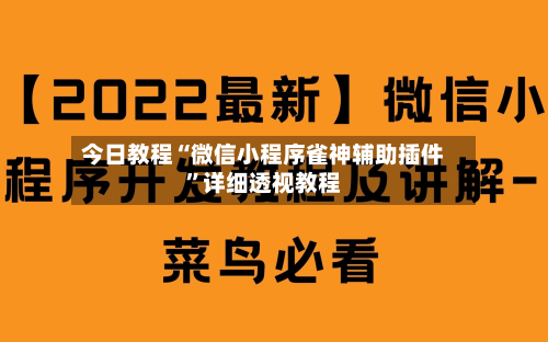 今日教程“微信小程序雀神辅助插件”详细透视教程-第1张图片