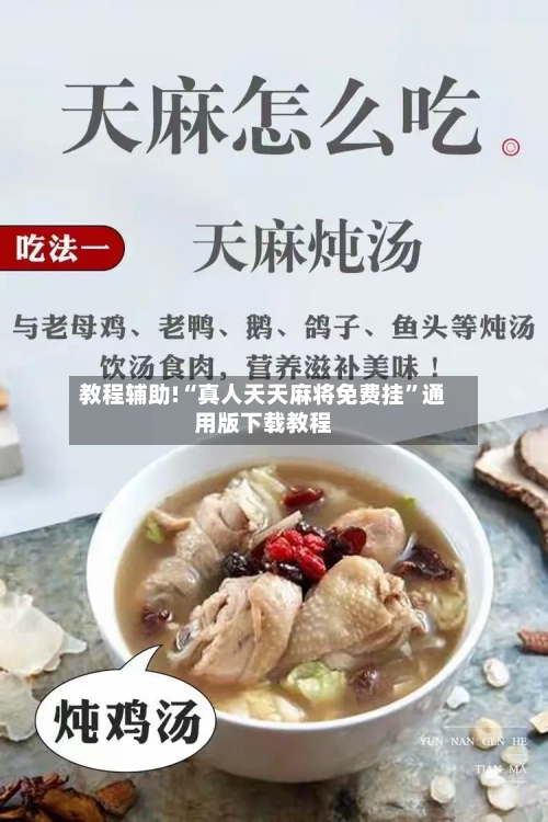 教程辅助!“真人天天麻将免费挂	”通用版下载教程-第1张图片