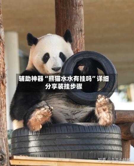 辅助神器“熊猫水水有挂吗	”详细分享装挂步骤-第1张图片