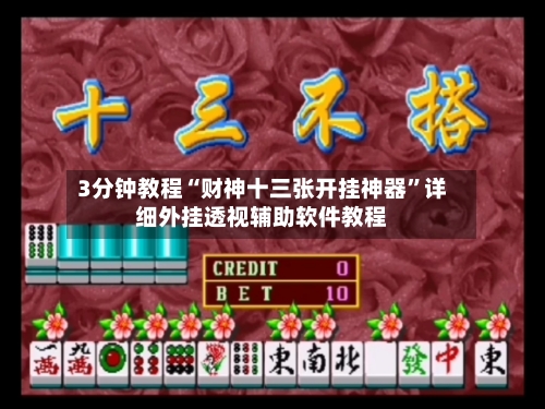 3分钟教程“财神十三张开挂神器”详细外挂透视辅助软件教程-第1张图片