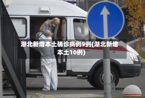 湖北新增本土确诊病例9例(湖北新增本土10例)-第1张图片