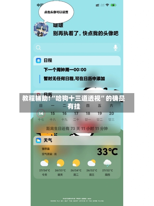 教程辅助!“哈狗十三道透视	”的确是有挂-第1张图片