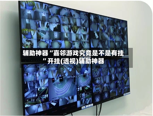 辅助神器“嘉邻游戏究竟是不是有挂”开挂(透视)辅助神器-第1张图片