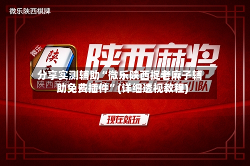 分享实测辅助“微乐陕西捉老麻子辅助免费插件”(详细透视教程)-第1张图片
