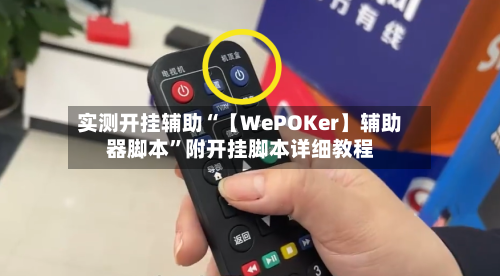 实测开挂辅助“【WePOKer】辅助器脚本”附开挂脚本详细教程-第1张图片