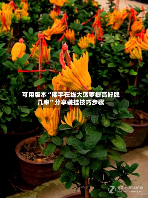 可用版本“佛手在线大菠萝提高好牌几率	”分享装挂技巧步骤-第1张图片