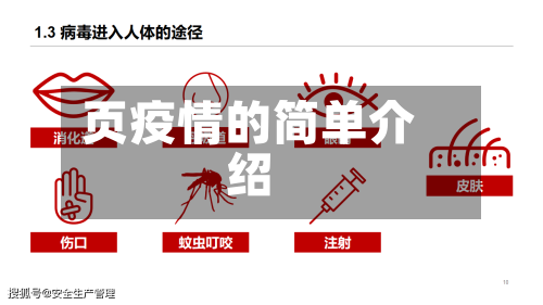 页疫情的简单介绍-第1张图片