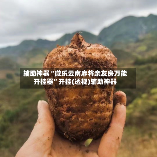 辅助神器“微乐云南麻将亲友房万能开挂器”开挂(透视)辅助神器-第1张图片