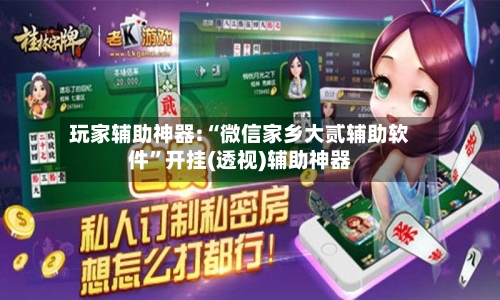 玩家辅助神器:“微信家乡大贰辅助软件”开挂(透视)辅助神器-第1张图片