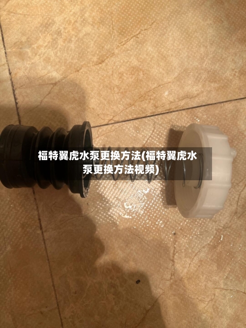 福特翼虎水泵更换方法(福特翼虎水泵更换方法视频)-第1张图片