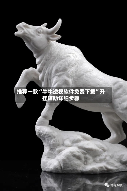 推荐一款“牛牛透视软件免费下载”开挂辅助详细步骤-第1张图片