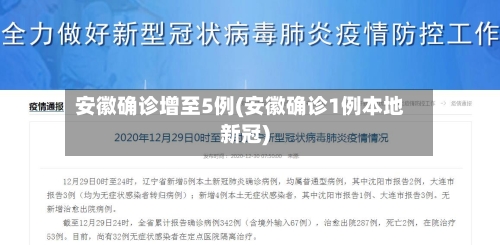 安徽确诊增至5例(安徽确诊1例本地新冠)-第1张图片