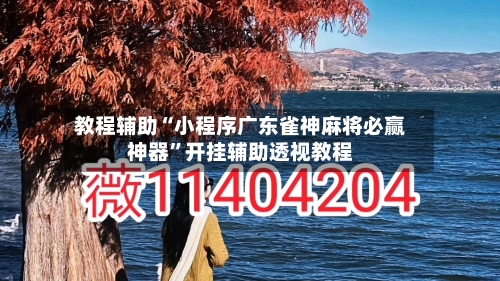 教程辅助“小程序广东雀神麻将必赢神器”开挂辅助透视教程-第1张图片