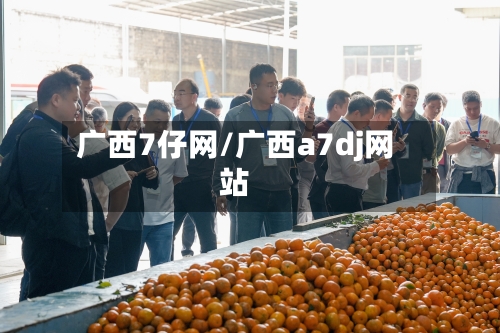 广西7仔网/广西a7dj网站-第1张图片