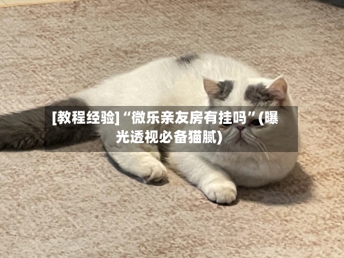 [教程经验]“微乐亲友房有挂吗”(曝光透视必备猫腻)-第1张图片