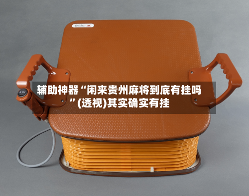 辅助神器“闲来贵州麻将到底有挂吗”(透视)其实确实有挂-第1张图片