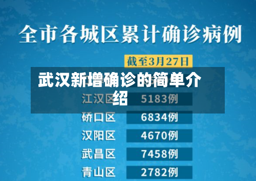 武汉新增确诊的简单介绍-第1张图片
