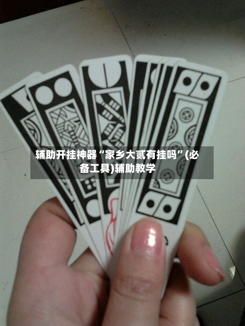 辅助开挂神器“家乡大贰有挂吗”(必备工具)辅助教学-第1张图片