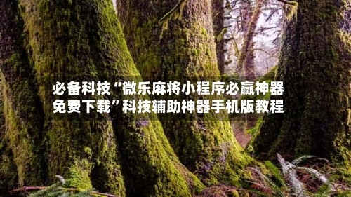 必备科技“微乐麻将小程序必赢神器免费下载	”科技辅助神器手机版教程-第1张图片