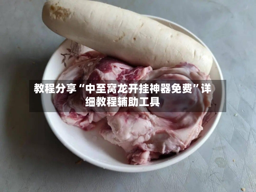 教程分享“中至窝龙开挂神器免费”详细教程辅助工具-第1张图片