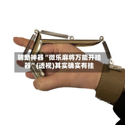 辅助神器“微乐麻将万能开挂器”(透视)其实确实有挂-第1张图片