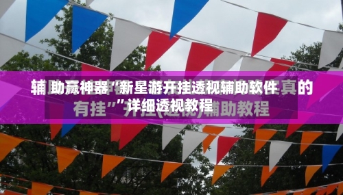 助赢神器“新星游开挂透视辅助软件	”详细透视教程-第1张图片