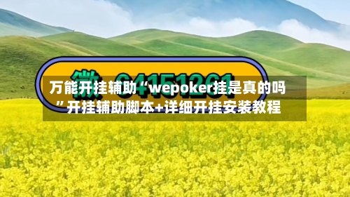 万能开挂辅助“wepoker挂是真的吗”开挂辅助脚本+详细开挂安装教程-第1张图片