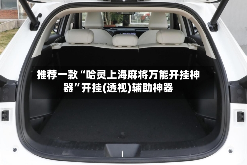 推荐一款“哈灵上海麻将万能开挂神器”开挂(透视)辅助神器-第1张图片