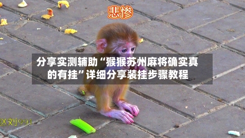 分享实测辅助“猴猴苏州麻将确实真的有挂”详细分享装挂步骤教程-第1张图片