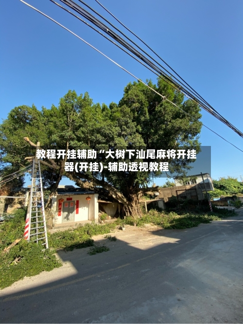 教程开挂辅助“大树下汕尾麻将开挂器(开挂)-辅助透视教程-第1张图片