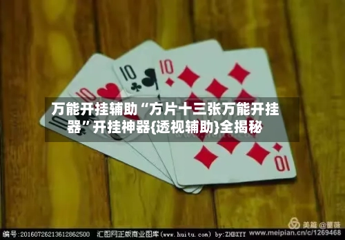 万能开挂辅助“方片十三张万能开挂器”开挂神器{透视辅助}全揭秘-第1张图片