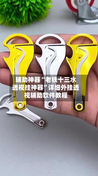 辅助神器“老铁十三水透视挂神器	”详细外挂透视辅助软件教程-第1张图片