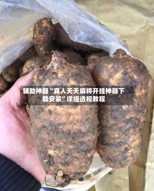 辅助神器“真人天天麻将开挂神器下载安装”详细透视教程-第1张图片