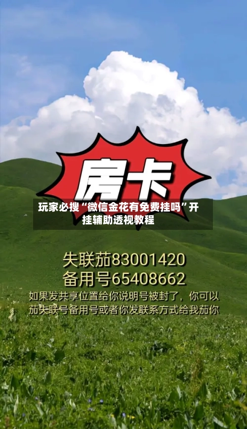 玩家必搜“微信金花有免费挂吗	”开挂辅助透视教程-第1张图片