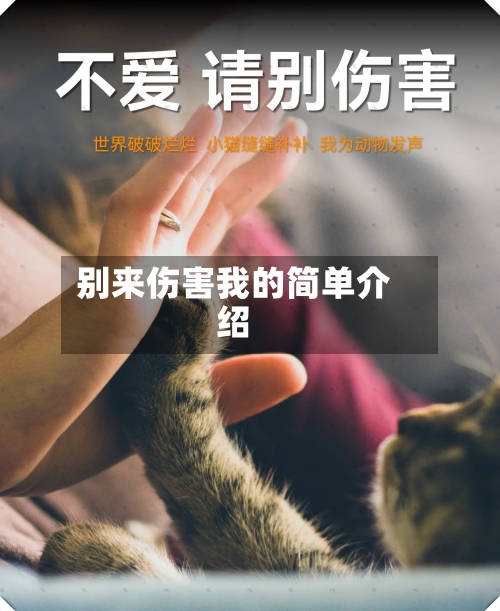 别来伤害我的简单介绍-第1张图片