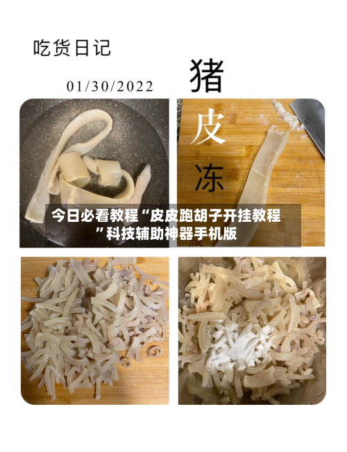 今日必看教程“皮皮跑胡子开挂教程”科技辅助神器手机版-第1张图片