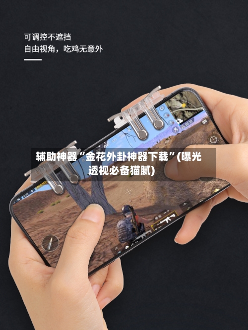 辅助神器“金花外卦神器下载”(曝光透视必备猫腻)-第1张图片